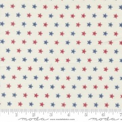 American Gatheirngs III Stars Cloud 108"
