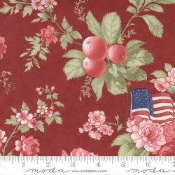 Isabella Vine Floral Flag Red