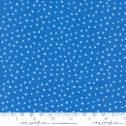 Flower Patches Dots Lt. Blue
