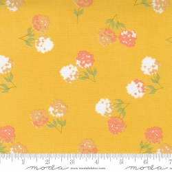 Cozy Up Blooms Sunshine Cozy Up Blooms Sunshine