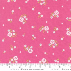 Joysome Petals Petunia