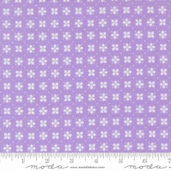 Joysome Checks Lavender