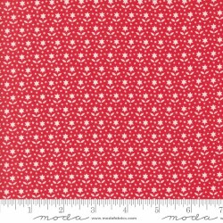Buon Natale Stars Pomegranate
