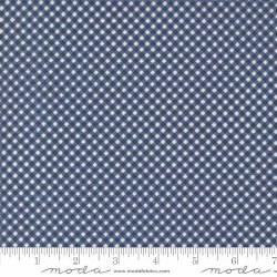 Raspberry Summer Check Blueber