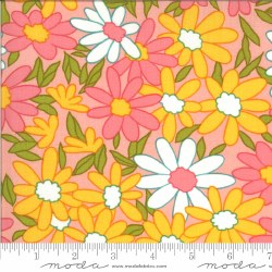 A Blooming Bunch Daisy Bubbleg A Blooming Bunch Daisy Bubbleg