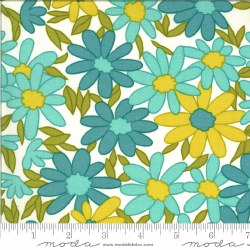 A Blooming Bunch Daisy Aqua