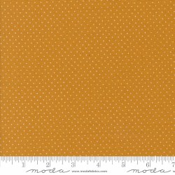 Frivolity Dots Chai