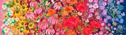Superbloom Ombre Flowers Multi