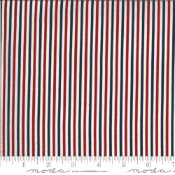 American Gatherings Stripe Multi
