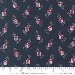 American Gatherings III Shield Navy