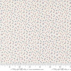 American Gatherings III Confetti Clou