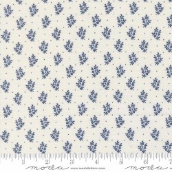 American Gatherings III Sprig CloudNa