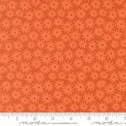 Scenery Sedum Orange