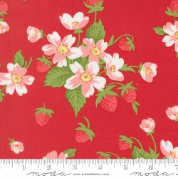 Bloomsberry Main Red