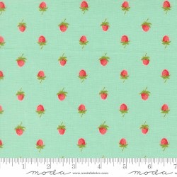 Bloomsberry Berries Aqua
