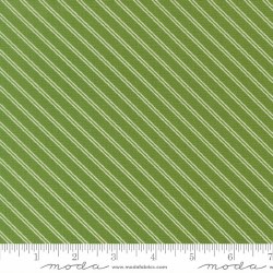 Bloomsberry Stripes Green
