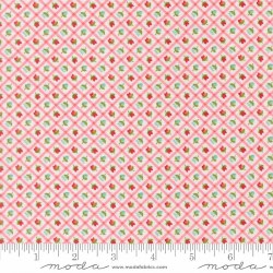 Bloomsberry Plaid Blush