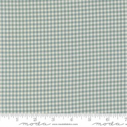Chilly Gingham Storm