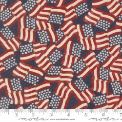 America 250 Flags Blue