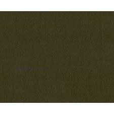 Fireside Texture Green Minkee Bargain