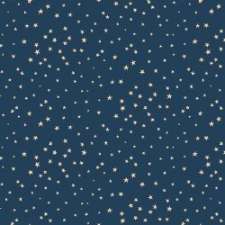 Liberty Island Stars Navy