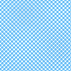 Playtime Flannel Gingham Blue