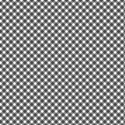 Playtime Flannel Gingham Black