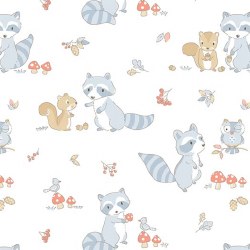 Minky Raccoon White Minky Raccoon White