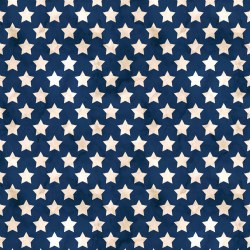 Farmhouse Americana Stars Navy/Ecru