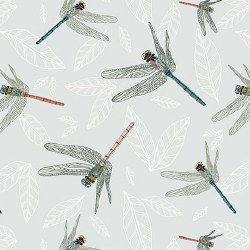Meadow Drift Dragonflies Lt Gr