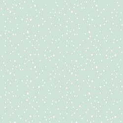 Juvenile Flan Baby Stars Mint Juvenile Flan Baby Stars Mint