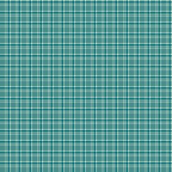 Arrival Winter Plaid Teal