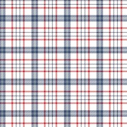 American Beauty Plaid Navy