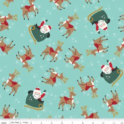 The North Pole  Reindeer Aqua