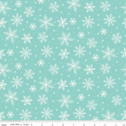 The North Pole  Snowflake Aqua