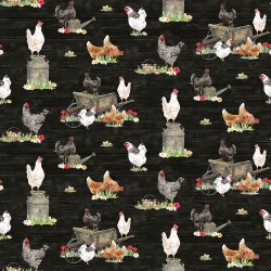 Heartland Chickens Black