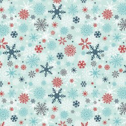 A Perfect Winter Snow Powder