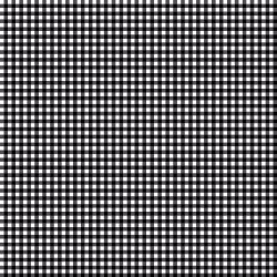Little Ladybug Gingham Black