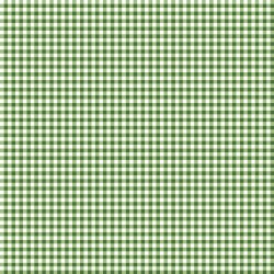 Little Ladybug Gingham Green