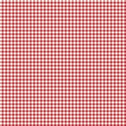 Little Ladybug Gingham Red