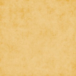 Shade Color Honey Shade Color Honey