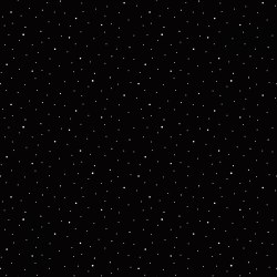Dapple Dot Black