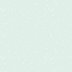 Blossom Bleached Denim