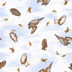 Classic Winnie the Pooh Owls Lt Blue