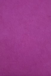 Wool Felt - Wine Goblet