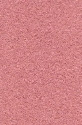 Wool Felt - Pink Grapefruit