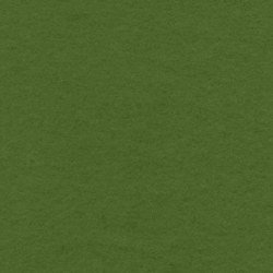 Wool 18" x 21" Green