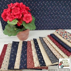 Additional picture of Freedom Road 16 Fat Quarters