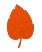 BEECH LEAF ORANGE CARD 20 PK