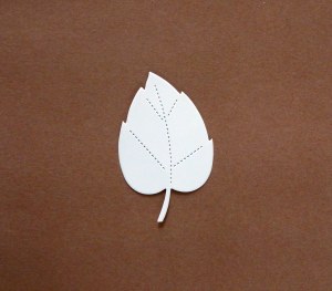 BEECH LEAF WHITE CARD 20 PK